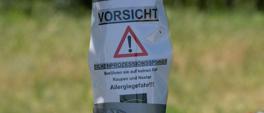 Auf einem Zettel wird im Erholungspark Marzahn vor dem Eichenprozessionsspinner gewarnt.
