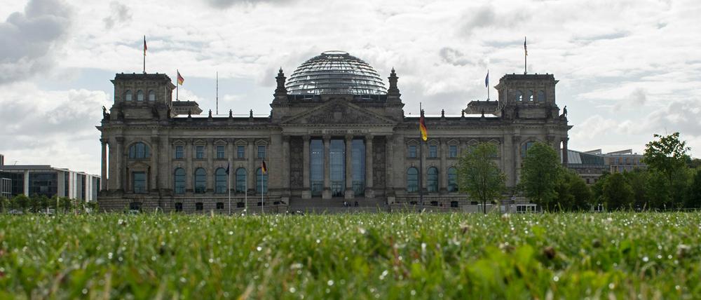 Am 4. Oktober wollen deutsche Künstler auf der Wiese vor dem Reichstag ein Solidaritätskonzert für Flüchtlinge geben - das hält das Grün schon aus.