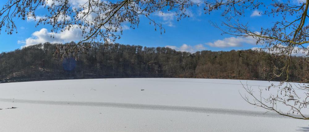 Winter in Brandenburg: Die Mittagssonne scheint über dem zugefrorenen Großen Treppelsee im Naturpark Schlaubetal.