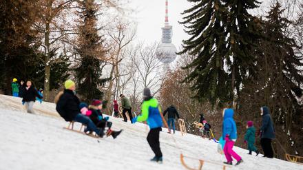 Familien und Kinder fahren auf einem Hügel im Volkspark Friedrichshain Schlitten, zwischen den Bäumen ist der Fernsehturm zu sehen. 