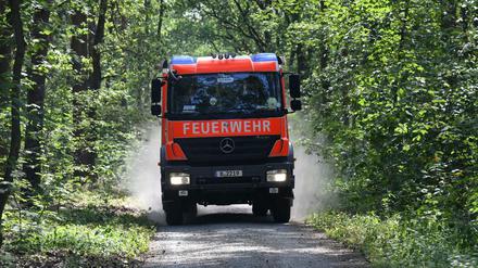 Ein Einsatzfahrzeug der Feuerwehr fährt durch den Berliner Grunewald.