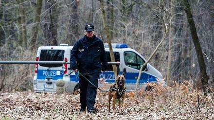 Nach dem Knochenfund im Jungfernheidepark in Berlin-Charlottenburg suchen nun speziell ausgebildete Spürhunde nach weiteren Überresten. 