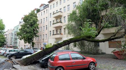 Ein mehr als 20 Meter hoher Baum ist umgestürzt und hat in Neukölln ein Auto unter sich begraben. Der Stamm blockierte die Wissmannstraße. 