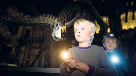 Mit der Taschenlampe können Kinder Dinausaurierskelette abtasten. Danach führt die Tour in die großen Sammlungen. 