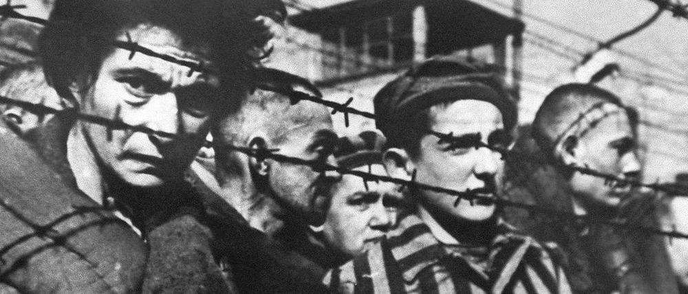 Wie Viele Konzentrationslager Gab Es In Deutschland www.tagesspiegel.de