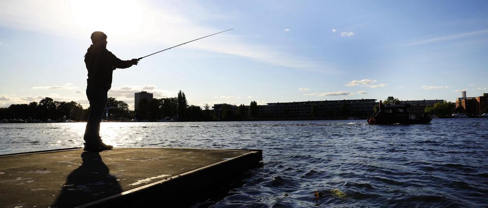 Auch am Havelufer kann man gut angeln. 