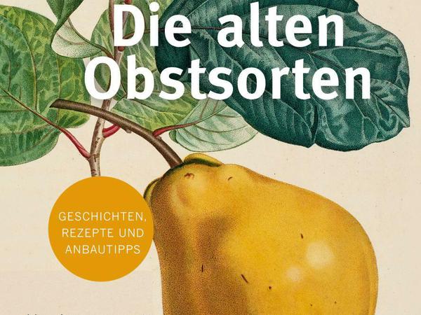 "Die alten Obstsorten - Von Ananasrenette bis Zitronenbirne. Geschichten, Rezepte und Anbautipps", Sofia Blind, 2020 DuMont-Verlag, 160 Seiten, 25 Euro