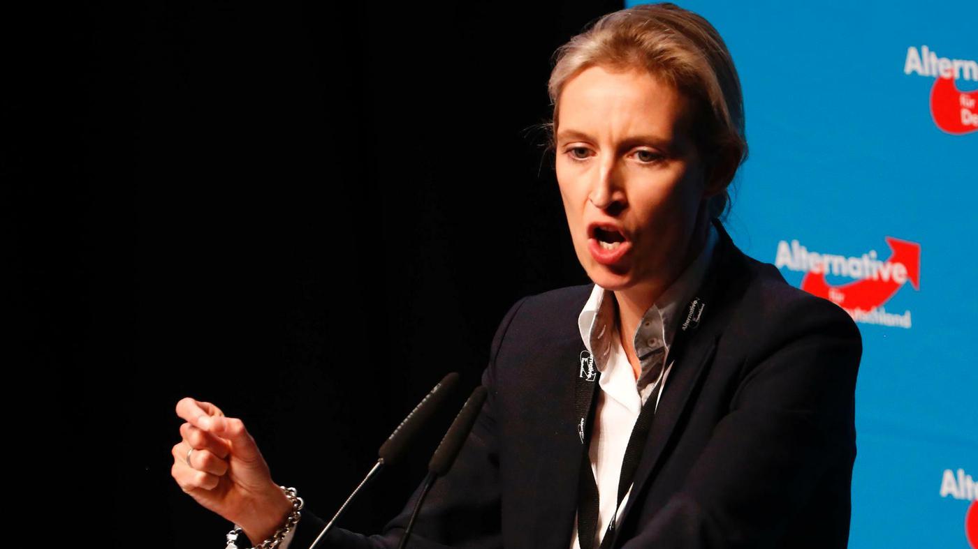 AfD-Spitzenkandidatin: Alice Weidel, die neue Rechte