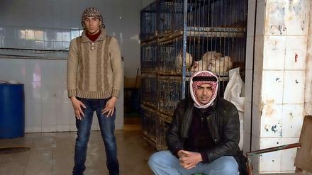 Zuflucht Amman: Geflügelhändler am Rande des Wochenmarkts im palästinensischen Flüchtlingscamp Baqa'a.