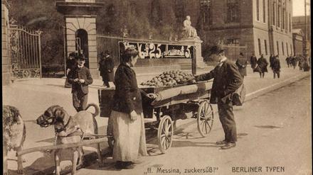 Zugpferde der Markthändler: Hundekarren mit Kartoffeln und Früchten, um 1911.