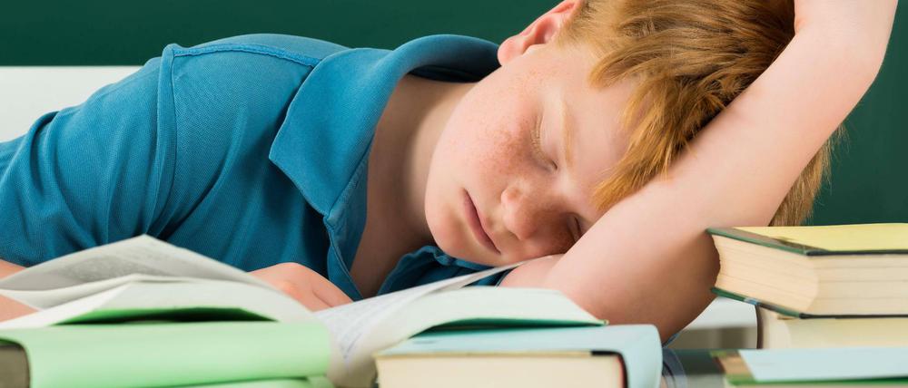 In Japan kein Problem: Schlafen im Unterricht gilt dort als Indiz für nächtlichen Fleiß. 