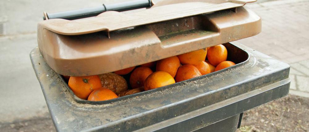 Bremer Biomülltonne mit Apfelsinen und Mandarinen oder Clementinen