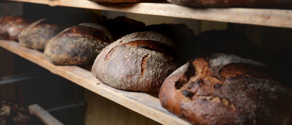 Das Beute-Brot in der Bäckerei Domberger Brot-Werk