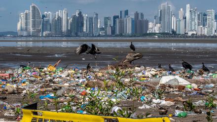 Geier kreisen am Strand des Viertels Costa del Este in Panama-Stadt über Müll (Symbolbild).