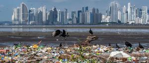 Geier kreisen am Strand des Viertels Costa del Este in Panama-Stadt über Müll (Symbolbild).