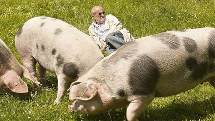 Kochlegende Franz Keller züchtet heute Bentheimer Schweine für sein eigenes Restaurant