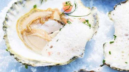 Eine Rarität: Schwedische Austern werden nicht exportiert. Foto: Johner Bildbyra / vario images