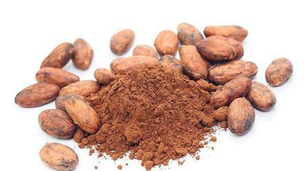 Kakaobohnen -der Rohstoff für feine Schokolade.
