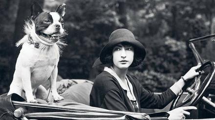 Das Bild zeigt eine Berlinerin im Jahr 1924 mit ihrer Französischen Bulldogge im Cabriolet.