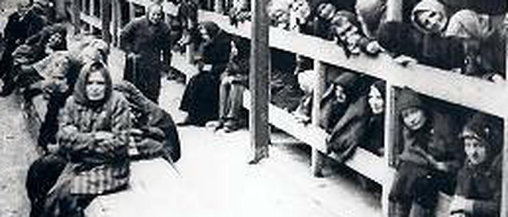 Häftlinge in Auschwitz-Birkenau.