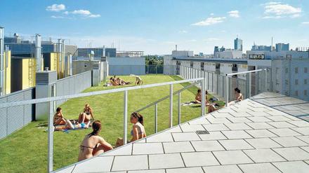 Auf dem Dach der "Bremer Stadtmusikanten" von Artec-Architekten treffen sich die Bewohner auf der Liegewiese des Pools. 