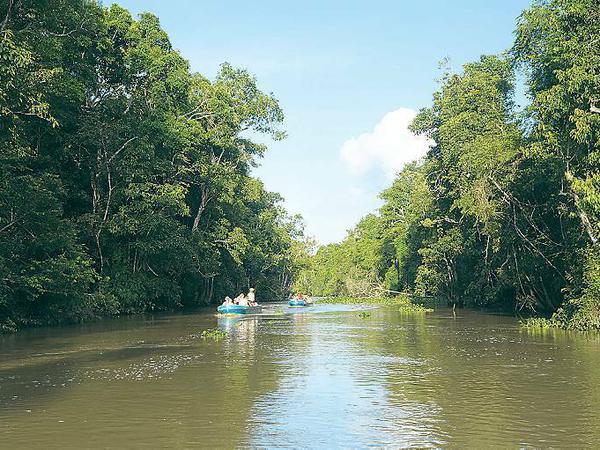 Touristen versuchen auf Flusssafaris, vom Kitabangan aus, die Tiere zu entdecken. 
