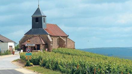 Dorf Mutigny an der Marne. In der Champagne stehen jahrhundertealte Kirchen neben endlosen Rebstockreihen.