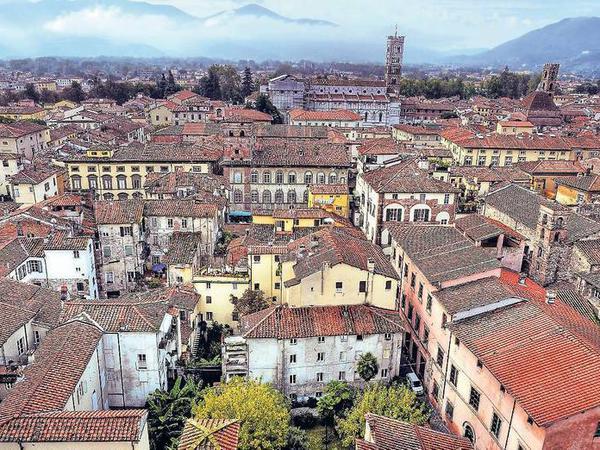 Türme. Vom Torre Guinigi lässt sich in Richtung Süden die Altstadt von Lucca mit ihren gewaltigen Mauern gut überblicken. 
