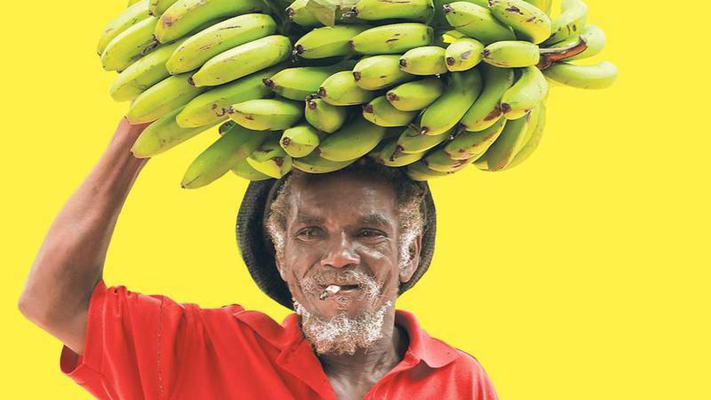 Jamaika Der Ausrasta Wie ein 70Jähriger der Zivilisation den Rücken