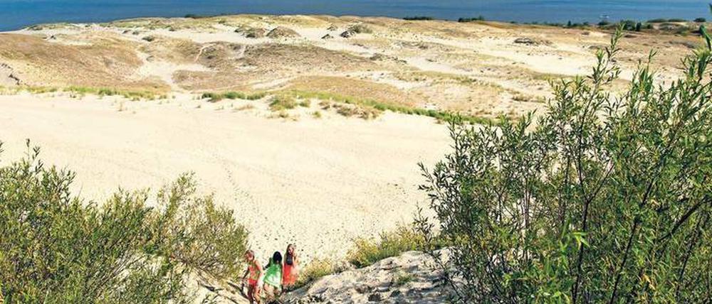 Weißer Strand, tiefblaues Meer. Sanddünen bei Nida. Der Naturpark Kurische Nehrung gehört zum Unesco-Weltnaturerbe.  