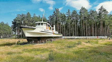 Das ehemalige Greenpeace-Schiff "Beluga" steht nun im Forst von Gorleben.