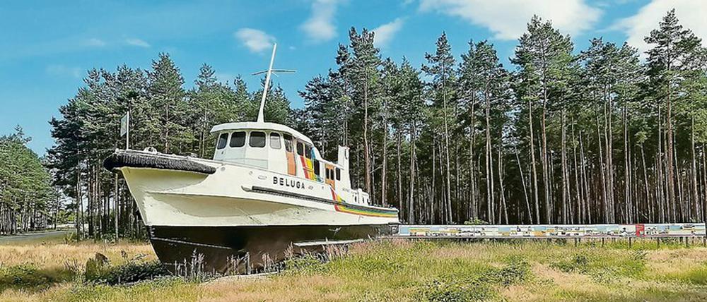 Das ehemalige Greenpeace-Schiff "Beluga" steht nun im Forst von Gorleben.