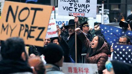 Im ganzen Land demonstrieren Menschen gegen Donald Trump. Doch Neuwahlen sind höchst unwahrscheinlich.