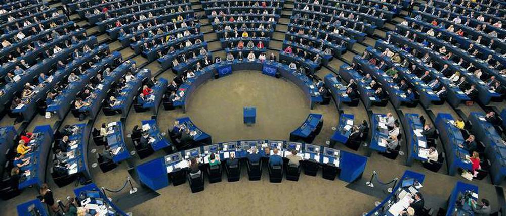 Meinungsforscher zählen 251 EU-Skeptiker im Europaparlament. Das ist ein Drittel aller Abgeordneten.