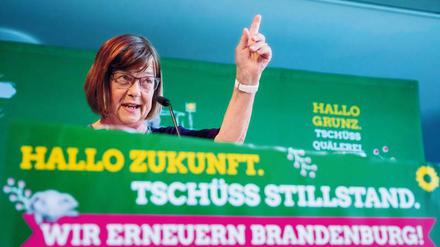 Ursula Nonnemacher will Bahnstrecken reaktivieren und Hebammen stärken. 