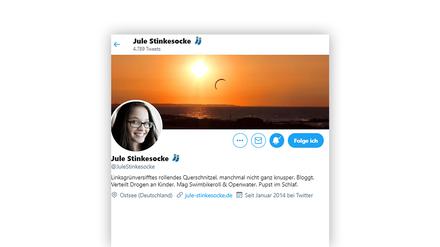 Screenshot des inzwischen abgeschalteten Twitter-Accounts von „Jule Stinkesocke“.