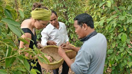In direktem Kontakt zu Kleinbauern auf den Plantagen: Anja Matthes bei der Qualitätssicherung von Kampot-Pfeffer in Kambodscha.