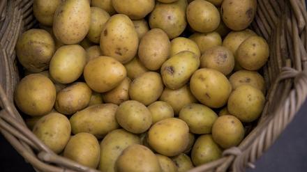 In Krisenzeiten muss der Ziergarten notfalls der Kartoffel weichen.
