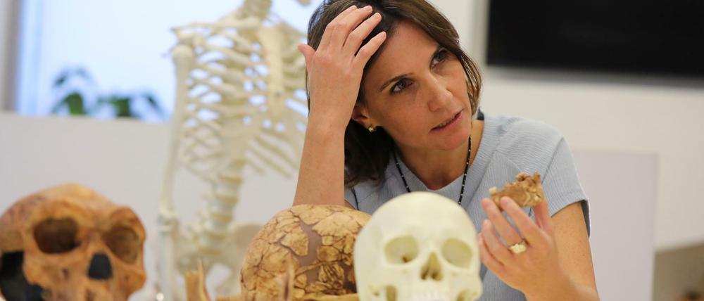 Anthropologin Hila May zeigt Knochenstücke. Der Urmensch Nescher Ramla verbinde Eigenschaften des Neandertalers. . 
