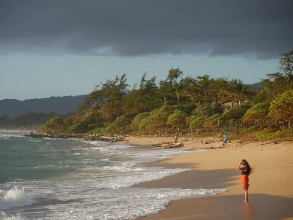 Naturbelassen: Wilde Küste auf Kauai