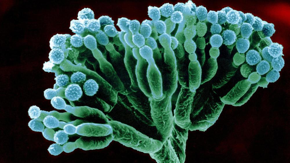 Alle Artikel in „Gesellschaft“ vom 05.02.2016