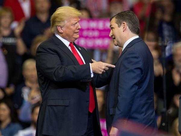 Einst schimpfte Donald Trump Ted Cruz (rechts) einen Lügner, jetzt unterstützt er den früheren Rivalen im Wahlkampf in Houston.