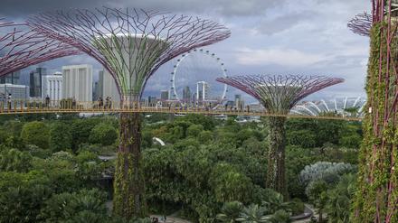 Die futuristischen Gardens by the Bay in Singapur haben einen kühlenden Effekt auf den Stadtstaat.