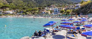 Sonnenschirme und Liegen am Strand von Sant Andrea, Westküste von Elba.