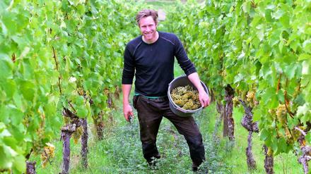 Stephan Krämer produziert seine natürlich perlenden Weine im fränkischen Auernhofen nach den Naturland-Richtlinien.