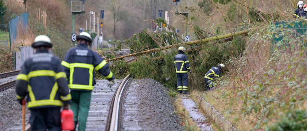 Feuerwehrleute in Hamburg arbeiten auf Bahngleisen an umgestürzten Bäumen.