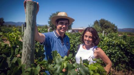 Josep und Marta Serra bauen Wein an. Auch Sorten, die es sonst nicht mehr gibt.