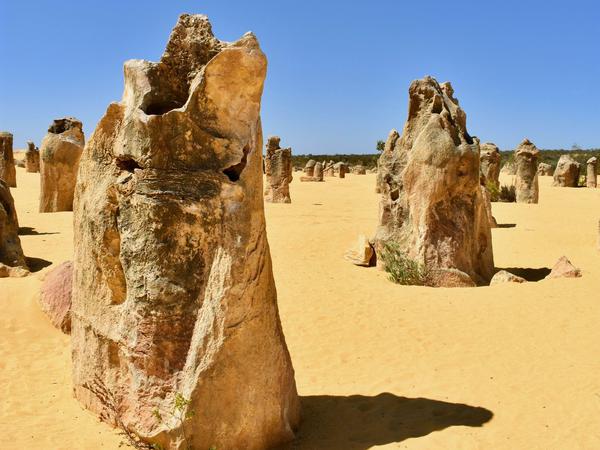 „Pinnacles“ heißen diese Kalksteinformationen im Nationalpark Nambung.