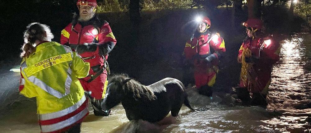 Zwei Ponys konnten von der Tierrettung Essen Freitagnacht aus den Fluten gerettet werden.