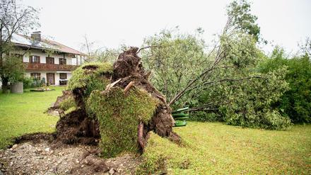 Ein umgestürzter Baum liegt vor einem Wohnhaus in Halfing (Bayern). 